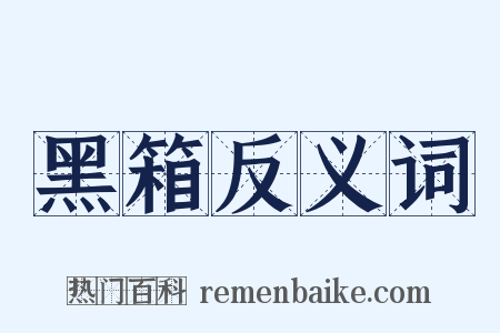 黑箱反义词是什么意思的图片